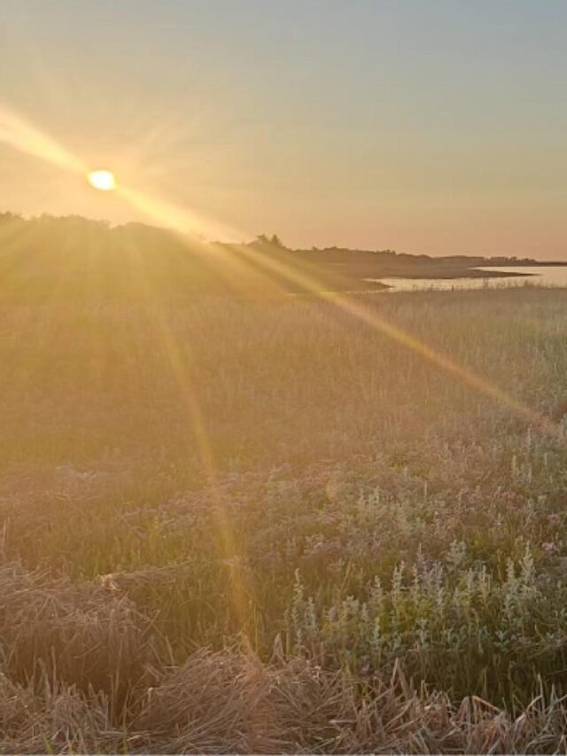Aften tur ved stranden