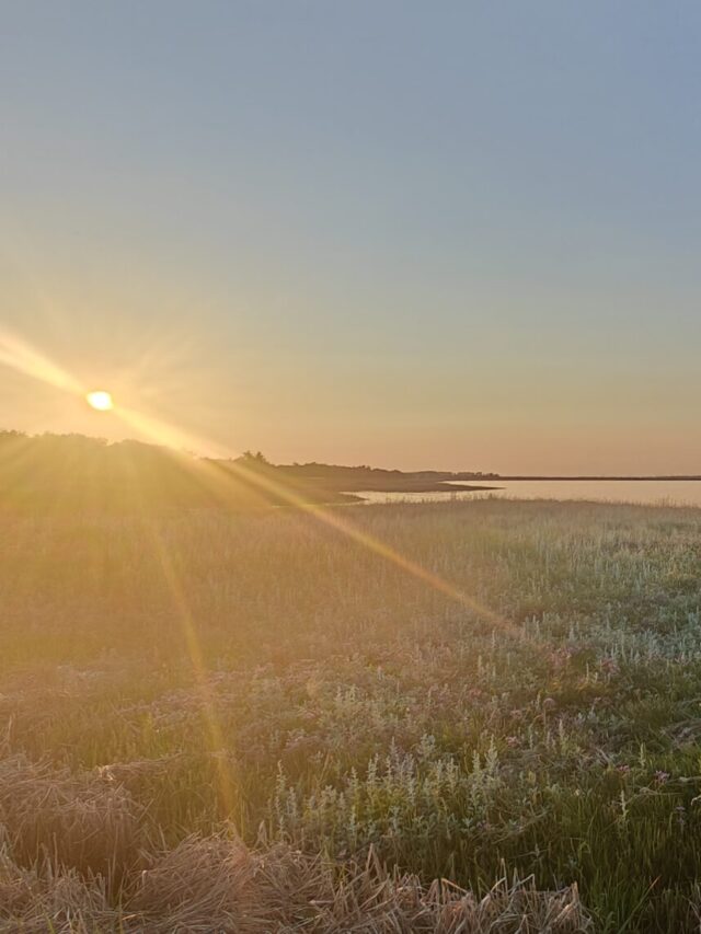 Aften tur ved stranden